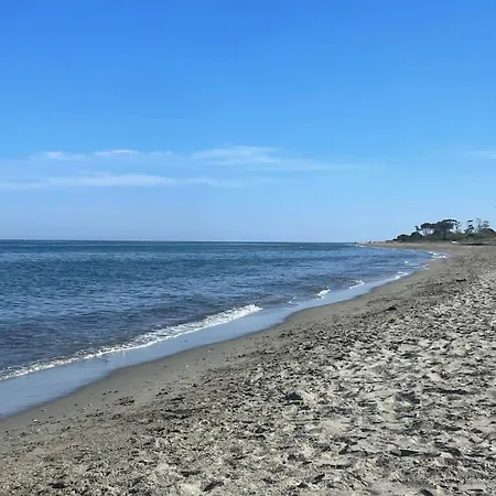 Maison Vacances Avec Jardin 500m De La Mer Lucciana (Corsica)