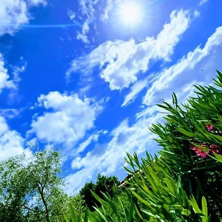Maison Vacances Avec Jardin 500m De La Mer