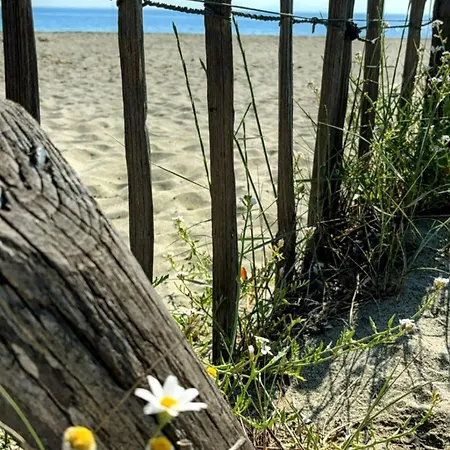 Maison Vacances Avec Jardin 500m De La Mer *